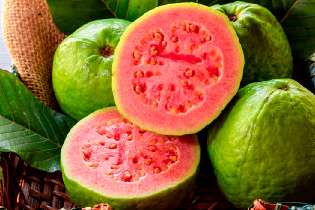 Guayaba: el superfruto olvidado